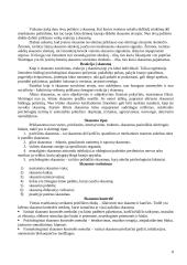 Bendravimas konspektas 8 puslapis