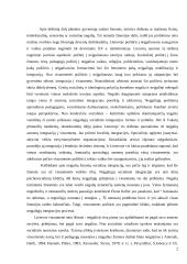 Socialinės negalios vaizdinys visuomenėje 2 puslapis