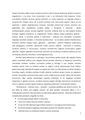 Socialinės negalios vaizdinys visuomenėje 3 puslapis