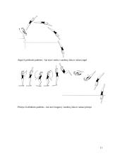 Plaukimo istorija 11 puslapis