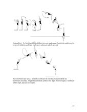 Plaukimo istorija 12 puslapis