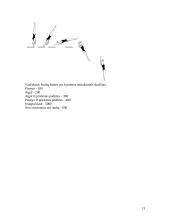 Plaukimo istorija 13 puslapis