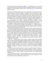 Plaukimo istorija 4 puslapis