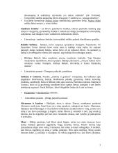 Senojo ir Naujojo Testamento bibliniai motyvai, įvaizdžiai 3 puslapis