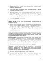 Senojo ir Naujojo Testamento bibliniai motyvai, įvaizdžiai 6 puslapis