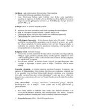 Senojo ir Naujojo Testamento bibliniai motyvai, įvaizdžiai 8 puslapis