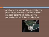 Baudžiamojo proceso stadijos skaidrės 10 puslapis