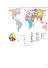 Kalbų paplitimas pasaulyje 5 puslapis