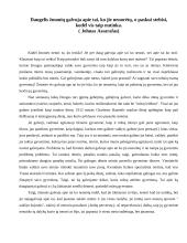 Filosofijos refleksija 2 puslapis