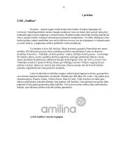 Panevėžio apskrities ekonomika 11 puslapis