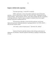 Panevėžio apskrities ekonomika 18 puslapis