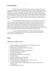 Panevėžio apskrities ekonomika 9 puslapis