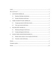 Finansinė analizė AB „City Service“ 2 puslapis