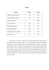 Finansinė analizė AB „City Service“ 10 puslapis