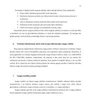 Įmonės saugumo politika 13 puslapis