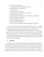 Įmonės saugumo politika 15 puslapis