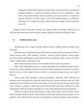 Įmonės saugumo politika 19 puslapis