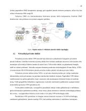 Įmonės saugumo politika 20 puslapis