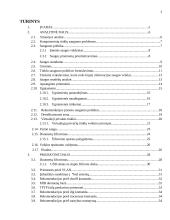 Įmonės saugumo politika 3 puslapis