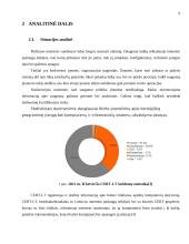 Įmonės saugumo politika 6 puslapis