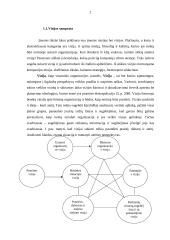 Organizacijos vizija ir misija 2 puslapis