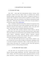 Organizacijos vizija ir misija 15 puslapis