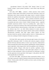 Organizacijos vizija ir misija 17 puslapis