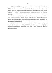 Organizacijos vizija ir misija 18 puslapis