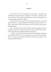 Organizacijos vizija ir misija 19 puslapis