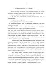 Organizacijos vizija ir misija 7 puslapis