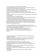 Vizija, misija 2 puslapis