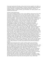 Vizija, misija 11 puslapis