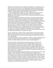 Vizija, misija 12 puslapis