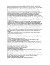 Vizija, misija 13 puslapis