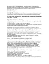 Vizija, misija 3 puslapis