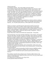 Vizija, misija 4 puslapis