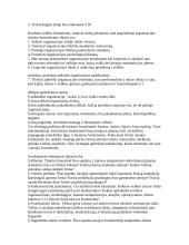 Vizija, misija 6 puslapis