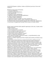 Vizija, misija 7 puslapis