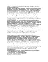 Vizija, misija 9 puslapis