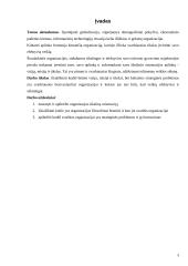 Organizacijos vizija, misija , filosofija, strateginės problemos ir tikslai 3 puslapis