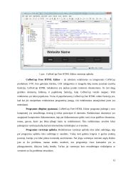 HTML redaktoriaus CoffeeCup Free HTML Editor analizė 12 puslapis