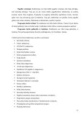 HTML redaktoriaus CoffeeCup Free HTML Editor analizė 13 puslapis