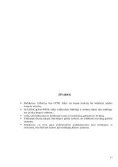 HTML redaktoriaus CoffeeCup Free HTML Editor analizė 17 puslapis