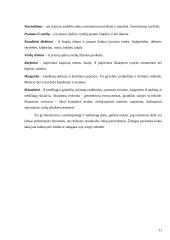 Šiaulių krašto tautodailininkų parodų reklamos analizė 11 puslapis