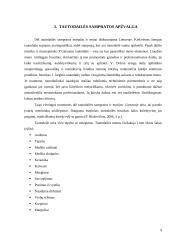 Šiaulių krašto tautodailininkų parodų reklamos analizė 9 puslapis