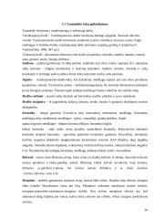 Šiaulių krašto tautodailininkų parodų reklamos analizė 10 puslapis