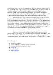 Viešoje erdvėje diskutuojama apie menkstančią jaunimo pagarbą kalbai. Remdamiesi konkrečiais pavyzdžiais paaiškinkite, ar tokia nuomonė yra pagrįsta. 2 puslapis