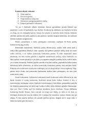 „Starbucks“ atvejo analizė 5 puslapis