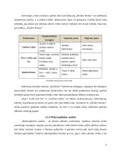 „Starbucks“ atvejo analizė 9 puslapis