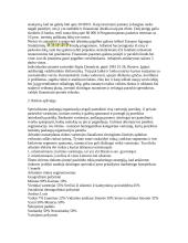 Mažos įmonės kūrimas 2 puslapis